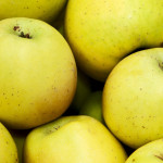 Malus domestica Golden Delicious - Măr Golden Delicious 