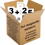 Set magnetic numere