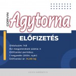 Előfizetés - Agytorna (1 negyedév: 2024. nyár)