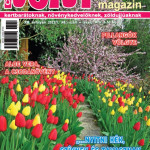KERTész magazin 2022/1. - tavasz