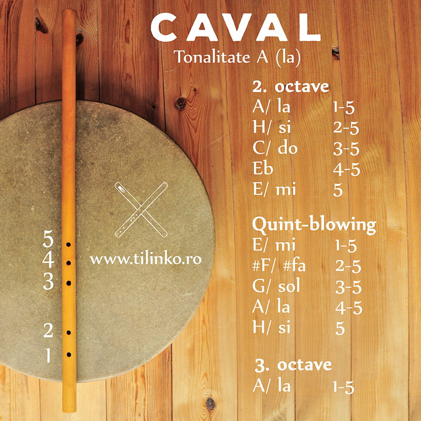 diagrama CAVAL