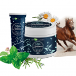 Balsam UW Classic puterea calului cu Gel Activ cu+9 plante medicinale 