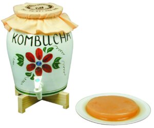 Contempt defeat Soft feet KOMBUCHA - Cultură de ciupercă kombucha pentru prepararea ceaiului în casă  - Liofilizat