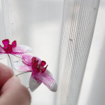 Lepkeorchidea fülbevaló - pink