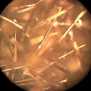 Microscop metalurgic inversat LACERTA