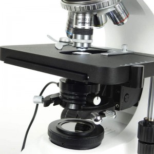 Microscop LACERTA LIS-CDF 