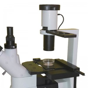 Microscop biologic contrast faza inversat LACERTA 
