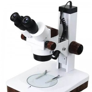 Microscop Stereo STM8-B (7-45x) 